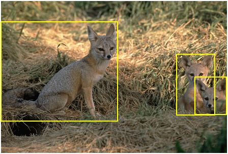 ImageNet example