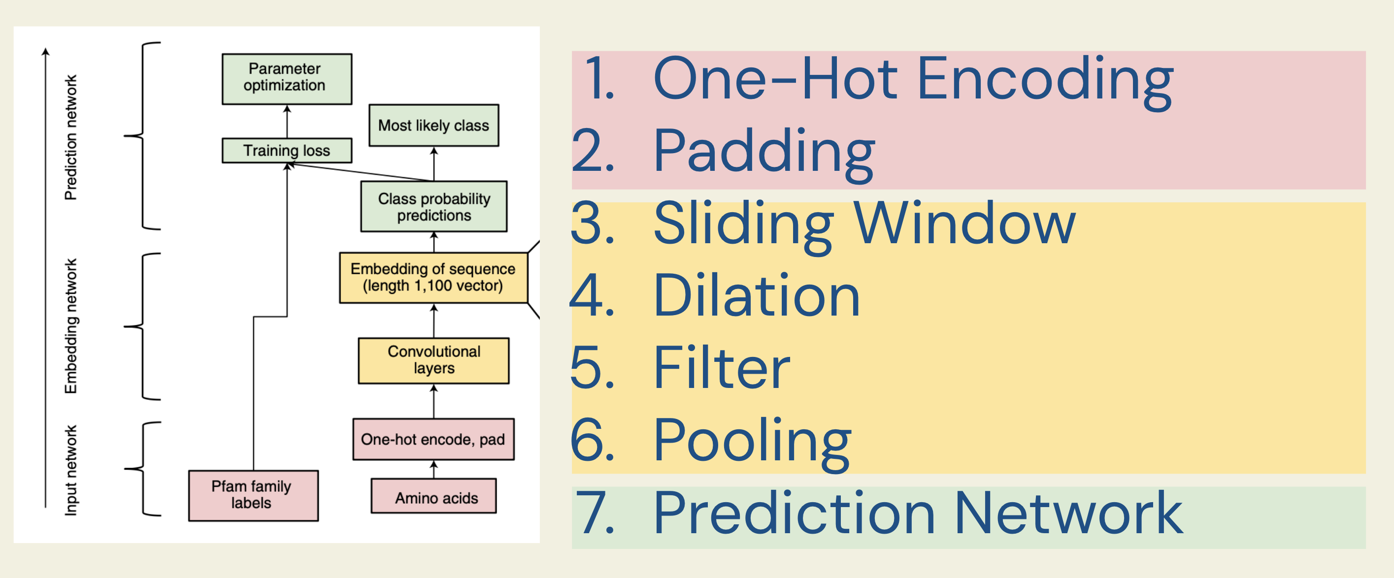 ProtCNN architecture