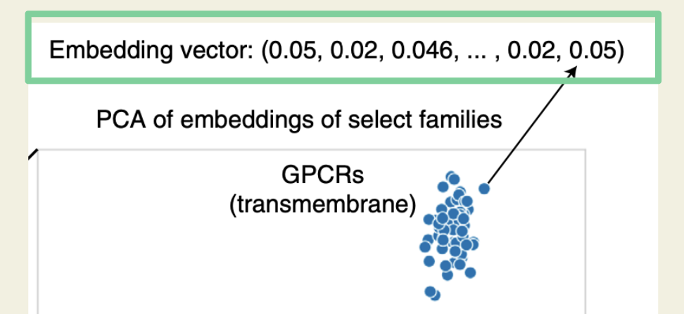 PCA on embeddings