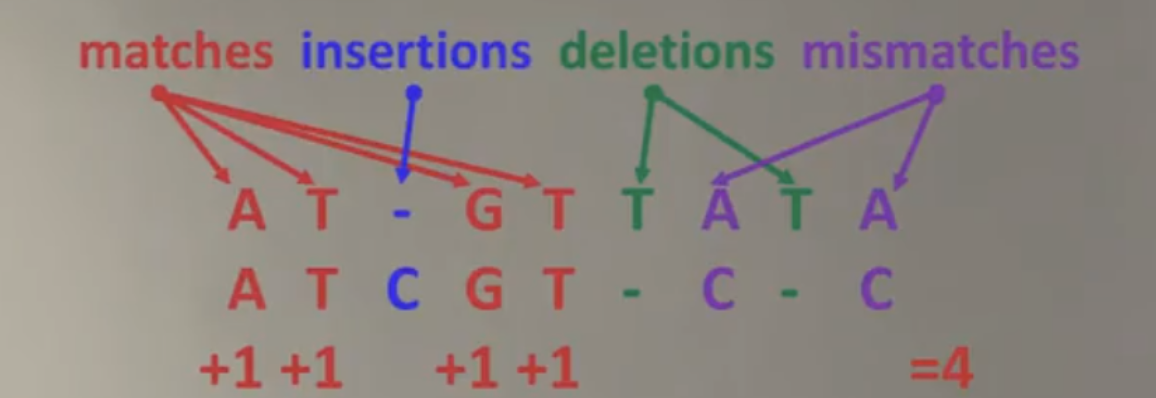 Sequence alignment example