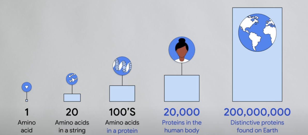 Protein sequences