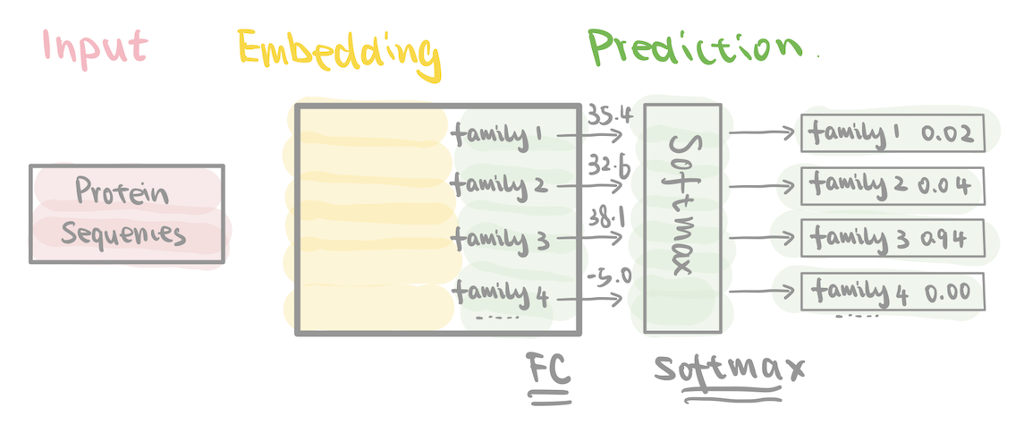 prediction layer